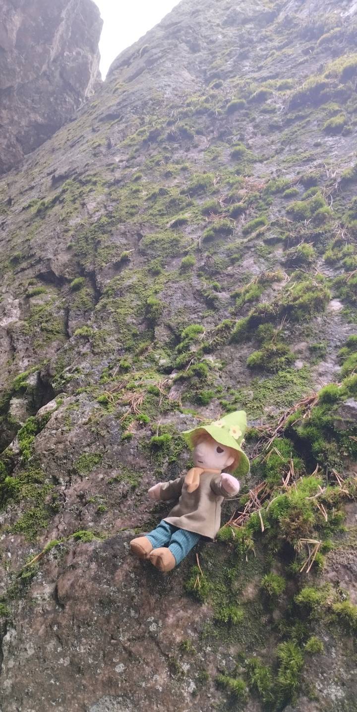 snufkinrock